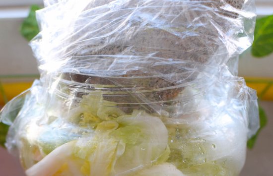 东北酸白菜<em>的腌制方法</em>和酸菜排骨汤的详细做法