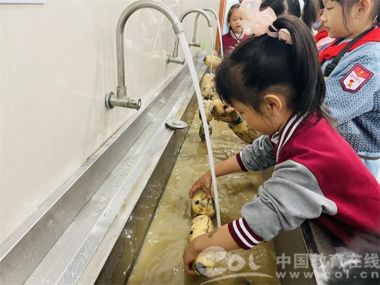 “哇哦，挖藕” 杭州市永正实验学校这场挖藕腌藕活动接地气、有...