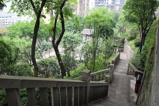 驻足重庆渝中系列报道——重庆人民公园让快节奏生活慢下来