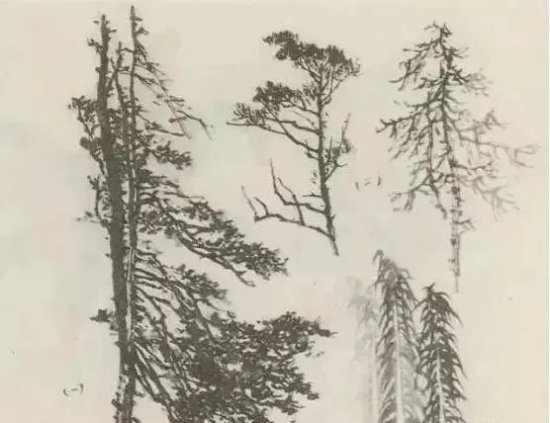 书画联盟丨山水画中各种树<em>的画法</em>