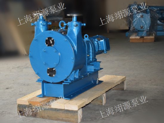 黑龙江长寿命工业软管泵生产厂家 创新服务「翊源供」