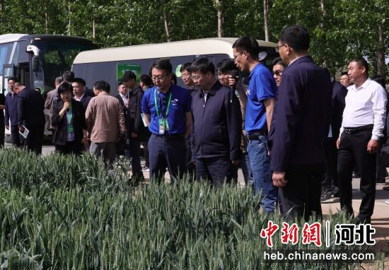 河北省高标准农田建设工作会议在保定定兴召开