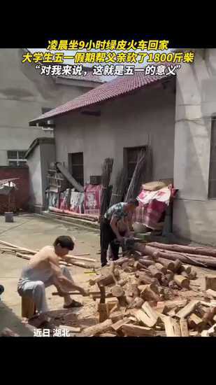 大学生“五一”放假<em>回老家</em> 帮父亲砍了1800斤柴