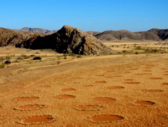 沙漠上的一个个“<em>神秘怪圈</em>”，真的是外星人干的吗？