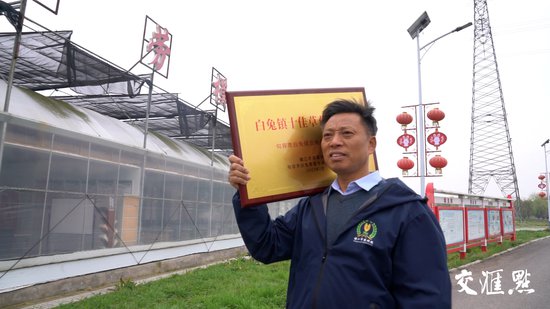 赵亚夫和他的农民朋友们｜20棵草莓苗，在这里长成千万元级富民...