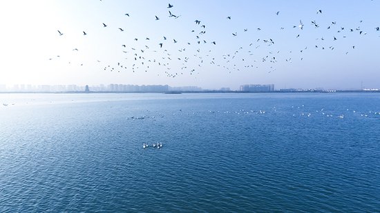 安徽<em>滁州</em>：全国首个“幸福湖”是怎样炼成的？
