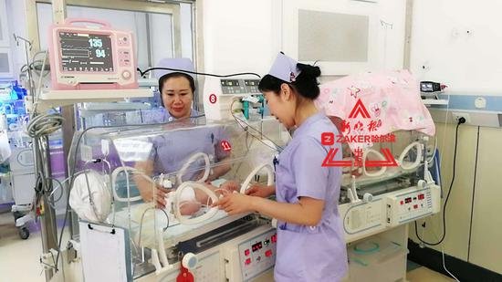 <em>猪宝宝</em>扎堆到 春节期间哈市一家医院接生147个新生儿
