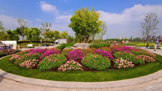 2023上海各公园花坛、花境<em>设计</em>出炉 喜欢<em>哪个</em>？