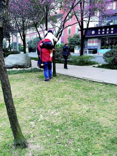 成都<em>中年妇女</em>锦江河边赏花 攀上树枝留影