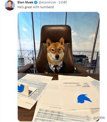 马斯克发推称宠物狗是“推特新CEO”：“它<em>非常适合</em>这份工作”