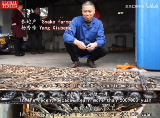 中国<em>最</em>恐怖<em>农村</em>：800人养300万条蛇，把央视记者都吓坏了！