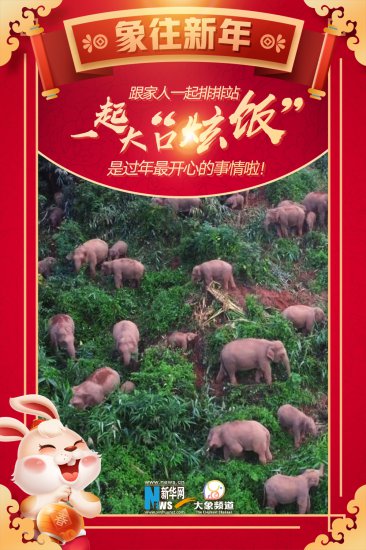 【“象”往新年】云南<em>大象与</em>新春佳节的梦幻联动