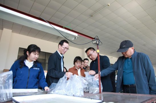 市科技局组织专家团队赴桂北三县调研