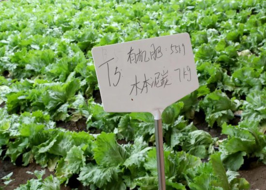 北京首家集约耕地保育技术示范应用基地落户顺义