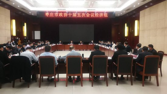 枣庄市委书记陈平参加经济组政协委员讨论