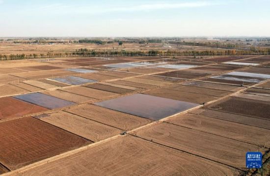 新时代中国调研行·黄河篇丨内蒙古河套地区：强化考核促节水