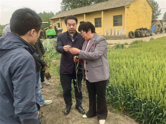 国寿财险泰州公司积极参与小麦赤霉病防治工作