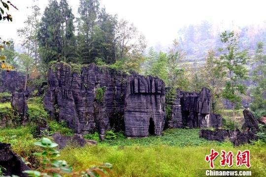 <em>贵州</em>沿河藏地质奇观 怪石嶙峋似“巨猫”