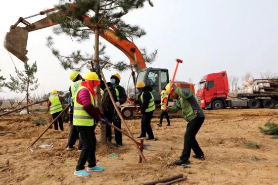 潍坊滨海区弥河生态绿廊综合治理工程加速推进