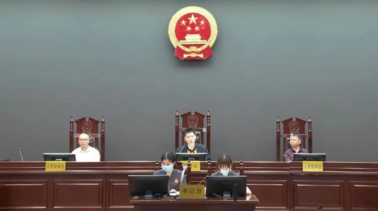 九龙坡法院公开宣判一起重大<em>非法吸收公众存款</em>案