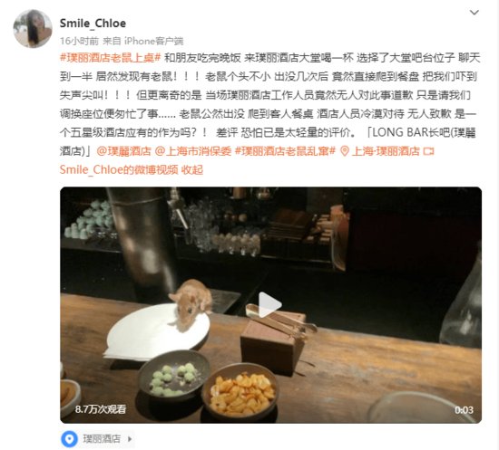 上海一五星级酒店<em>老鼠</em>爬上餐桌，现场无人对此事道歉，酒店回应...