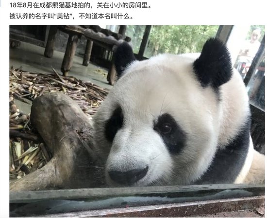 <em>上下五千年</em>，熊猫第一次有了站姐