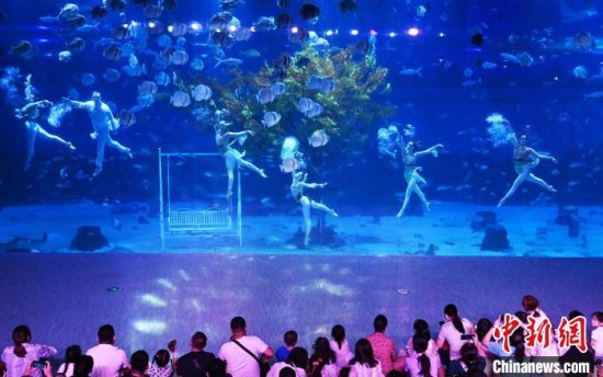 国庆假期 重庆海洋公园“美人鱼”表演吸引游客