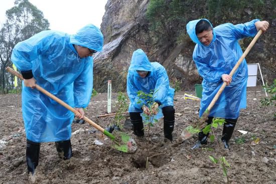 捐赠7000棵沉香树！在西江碧道打造“村企共建致富林”