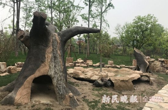 上海动物园乡土动物区<em>设计师</em>：为动物“造<em>房子</em>”趣事多