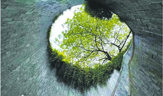 “龙之穴”，新加坡网红“<em>树</em>洞”