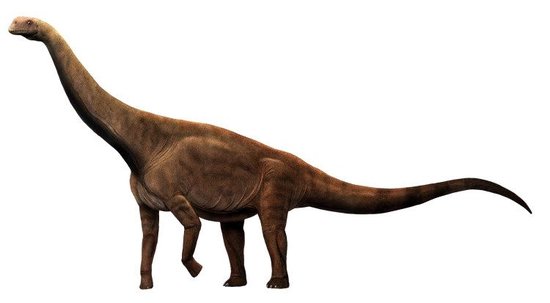 可能和重庆云阳<em>恐龙有关</em>！湖北首次发现侏罗纪<em>恐龙</em>足迹化石