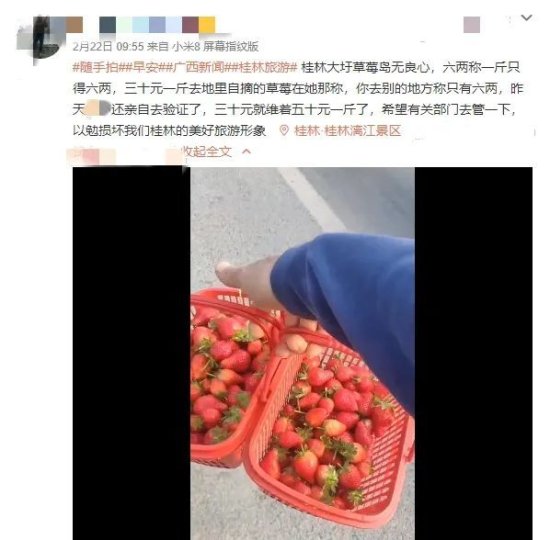 桂林大圩卖草莓的坑了<em>好多人</em>，你可能也来过！