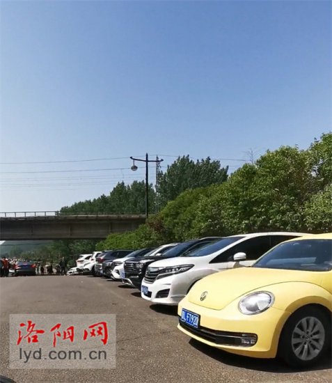 <em>洛阳</em>热门景区附近道路人车流量大 停车空间基本饱和