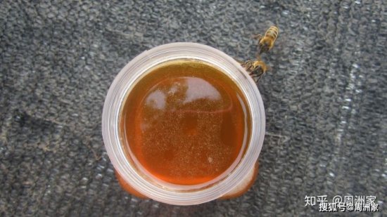 <em>纯天然蜂蜜</em>是什么颜色的呢？