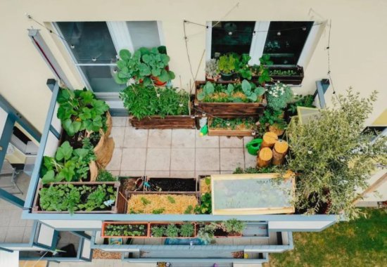 没有院子也不贪心，3㎡的阳台改成小菜园，尝试过就知道有多香了