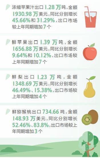 一季度<em>陕西</em>果品出口形势向好 鲜猕猴桃出口金额排名全国第一