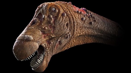 巴西科学家<em>首次发现</em>保存在<em>恐龙</em>化石骨骼内的血液寄生虫