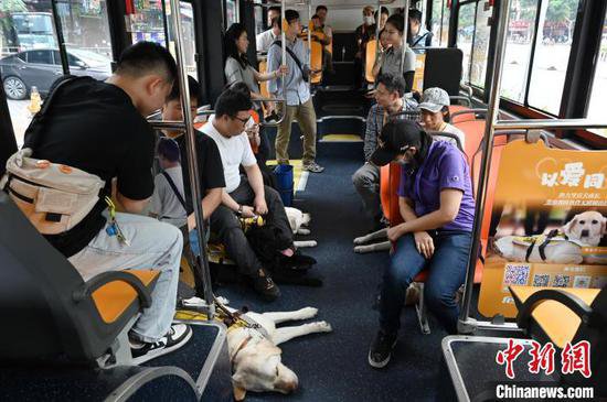<em>广州</em>开展国际导盲犬日活动