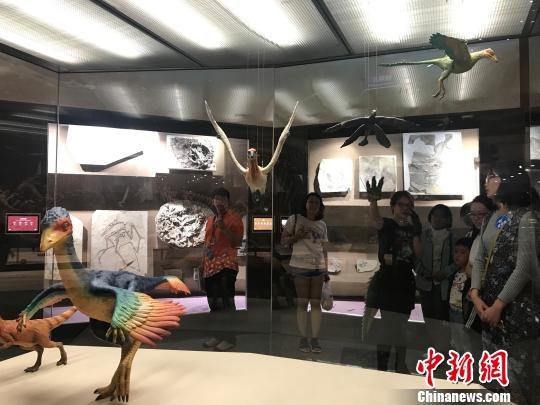上海自然博物馆开启“恐龙季” 发烧友夜游博物馆
