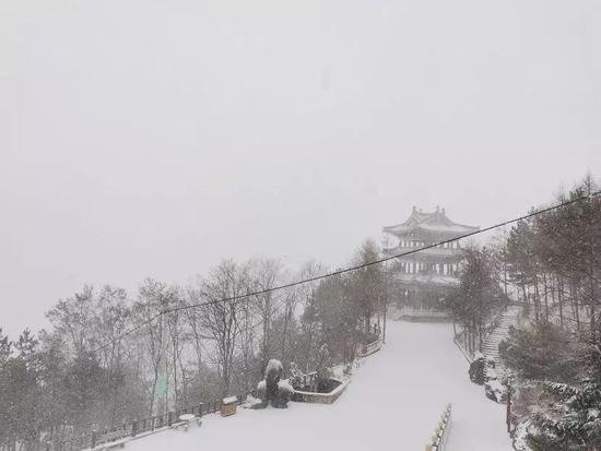 <em>下雪</em>啦 郑州<em>洛阳</em>多地飘下今冬首场雪 气温跌破0℃