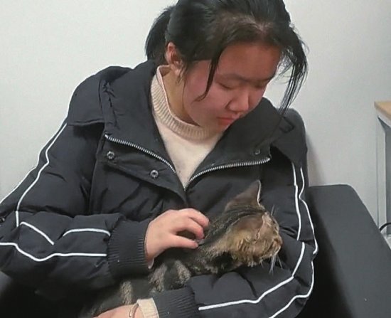 从一场小动物救助到一次综合育人实践 “猫小田”的暖心故事暖了...