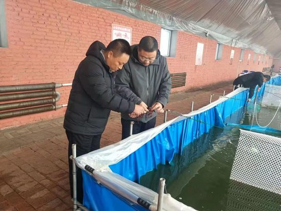 黑龙江海伦仁东村：养殖河蟹和小龙虾成为乡村振兴支柱产业