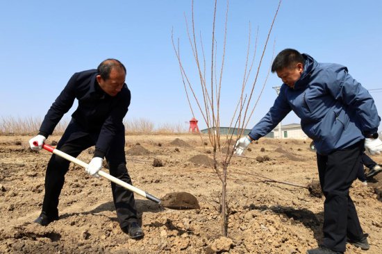 东北农业大学组织开展春季义务植树活动