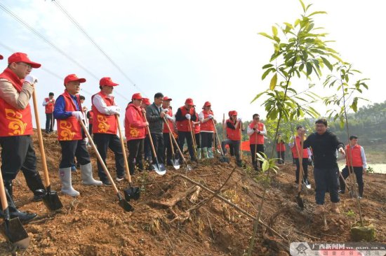 广西农商联合银行与邕宁农村信用联社开展志愿者义务植树活动