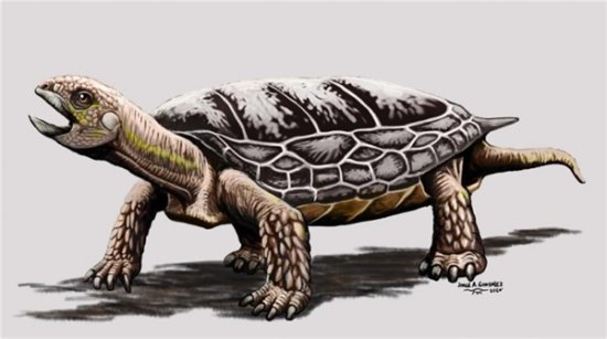 科学家发现2亿年前乌龟：竟不会将头缩进龟<em>壳</em>