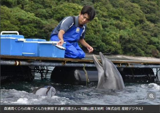 日本华媒：中国“95后”在日做海豚驯养员是<em>什么</em>体验？