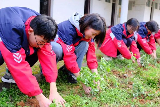 浙江江山：中小学为三月充“植”，把课堂搬进“春光里”