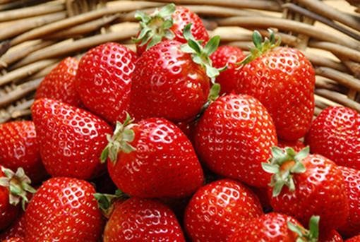 三月<em>草莓</em>季，糖尿病患者<em>怎么</em>吃<em>草莓</em>稳血糖？