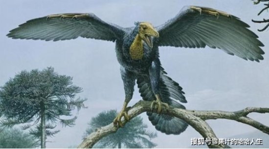 远古生物都是有脚的<em>兽类</em>，<em>为何</em>会进化出翅膀？