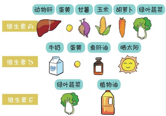 人体必需的十一种维生素，可以从<em>哪些食物</em>中获取？